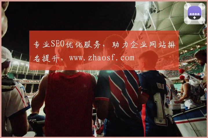 专业SEO优化服务，助力企业网站排名提升，www.zhaosf.com