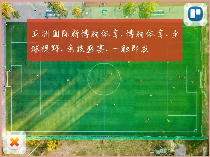 亚洲国际新博狗体育,博狗体育,全球视野,竞技盛宴,一触即发